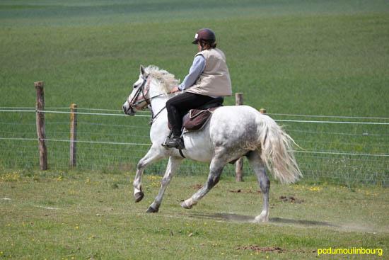 St Christophe S/Avre 2011 trec - 2011StChrist_0044.jpg