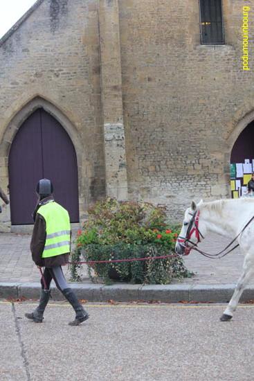 St Pierre equidays trec octobre 12 - 20121014-StPierre_0161.jpg