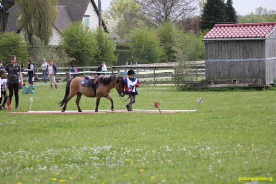 trec club poney ouilly mai 13 - 20130505-Ouilly_0106.jpg