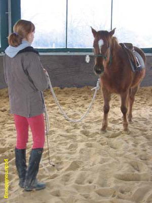 ethologie equifeel - Ethologie_0073.jpg
