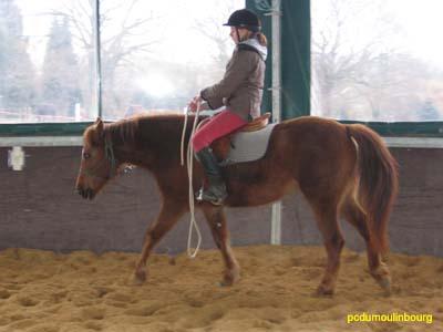 ethologie equifeel - Ethologie_0083.jpg