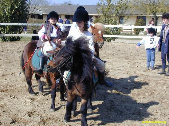 Horse ball poney - HB2004caval33230020.jpg