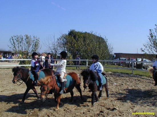 Horse ball poney - HB2004caval33230021.jpg