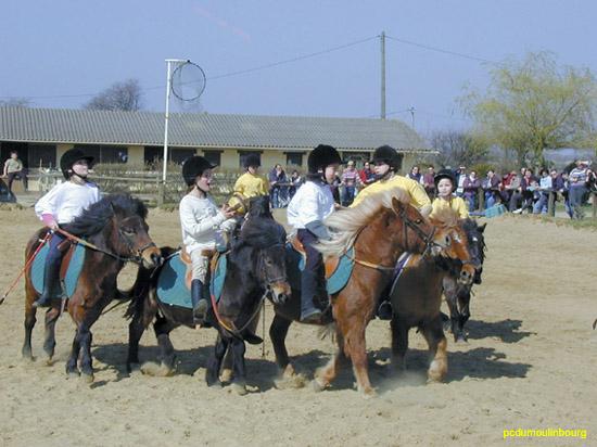 Horse ball poney - HB2004caval33230022.jpg