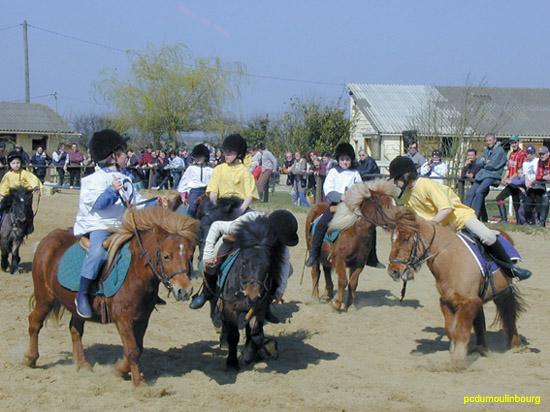 Horse ball poney - HB2004caval33230024.jpg