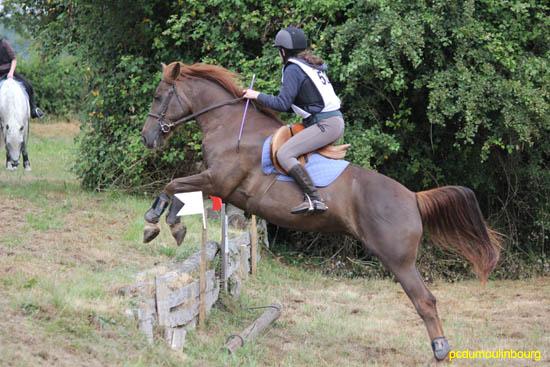 Championnat de Normandie Haras du Pin juin2011 - HaraDuPin11_2279.jpg