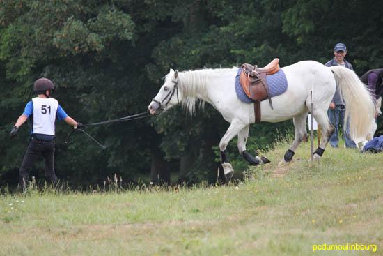 Championnat de Normandie Haras du Pin juin2011 - HaraDuPin11_2577.jpg