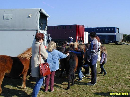 Horse ball poney shet - HorseB2003-33230001.jpg