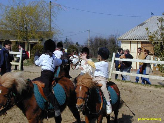 Horse ball poney shet - HorseB2003-33230019.jpg