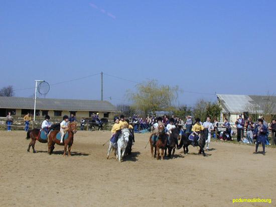 Horse ball poney shet - HorseB2003-33230031.jpg
