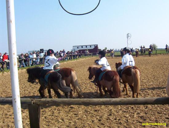 Horse ball poney - HorseB2004_0356.jpg