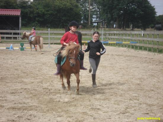 Jeux equestre shetlands - JeromJuill08_11.jpg