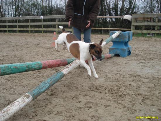 Ubu l chien en cso - JeromineAvril08_011.jpg