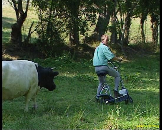 randonne t 2003 cheval poney  - PCMB_RANDO20037867e5801c3d50e.jpg