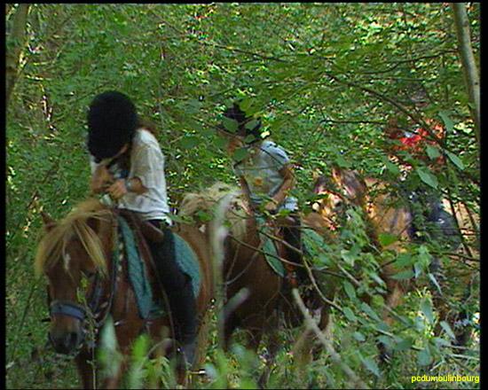 randonne t 2003 cheval poney  - PCMB_RANDO200398852901c3ce4b.jpg