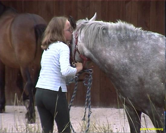 randonne t 2003 cheval poney  - PCMB_RANDO2003c8a952501c3ce4b.jpg