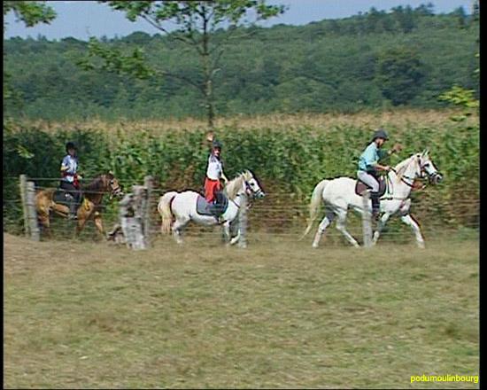randonne t 2003 cheval poney  - PCMB_RANDO2003dde77ba01c3ce49.jpg