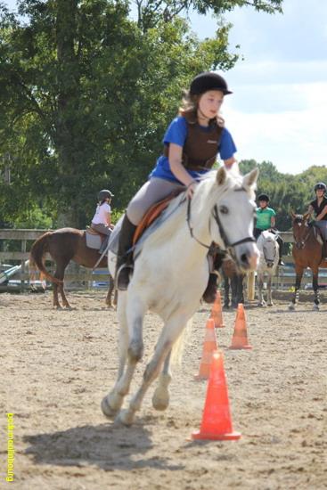 Porte ouverte journe du cheval 2010 - PO2010_1766_2.jpg