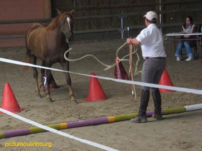 ethologie equifeel - PcmbDom-Lamotte07_029.jpg
