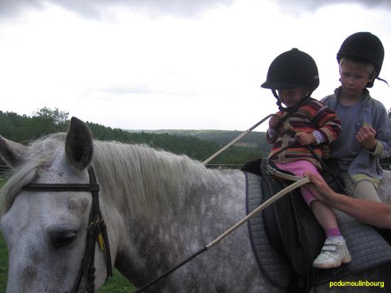 randonnee ete 2005 cheval poney - pcmbrando05_0868.jpg