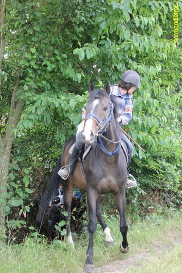 Epreuve trec Ouilly juin 2011 poney et championnat - trec-ouilly2011_2425.jpg