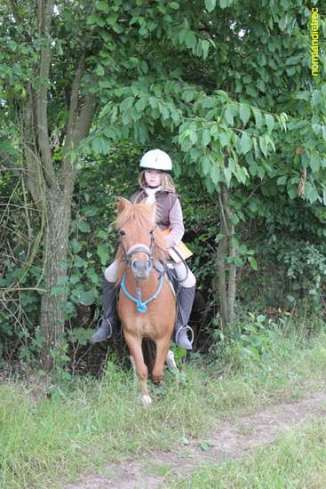 Epreuve trec Ouilly juin 2011 poney et championnat - trec-ouilly2011_2431.jpg