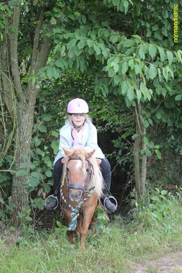Epreuve trec Ouilly juin 2011 poney et championnat - trec-ouilly2011_2433.jpg