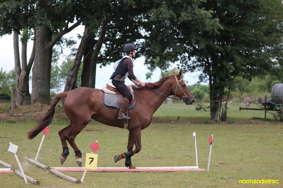 Epreuve trec Ouilly juin 2011 poney et championnat - trec-ouilly2011_2587.jpg