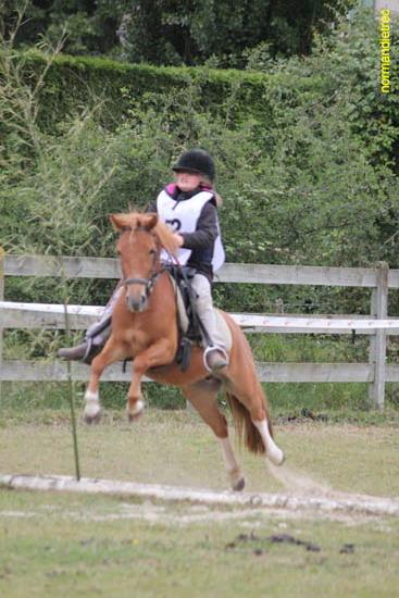 Epreuve trec Ouilly juin 2011 poney et championnat - trec-ouilly2011_2879.jpg