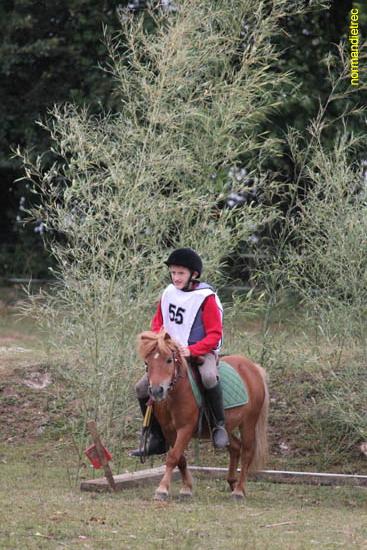 Epreuve trec Ouilly juin 2011 poney et championnat - trec-ouilly2011_2899.jpg